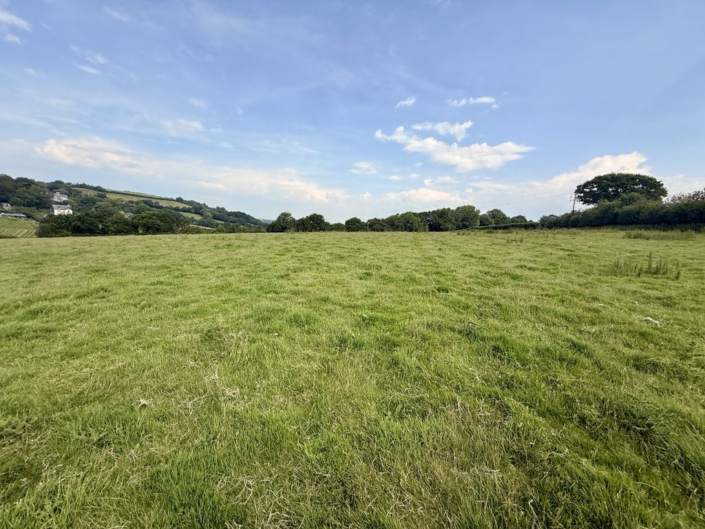  Trewidland